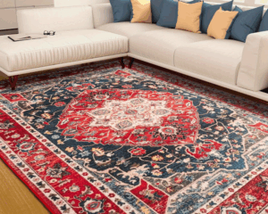 Best rug cleaning service