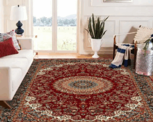 Best rug cleaning service