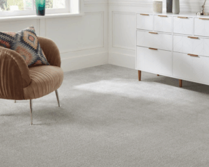 Modern home with clean carpet