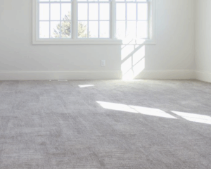 Modern home with clean carpet
