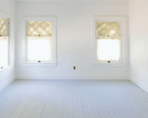 Modern home with clean carpet