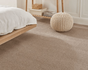 Modern home with clean carpet
