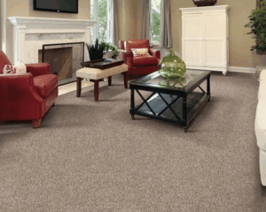 Modern home with clean carpet